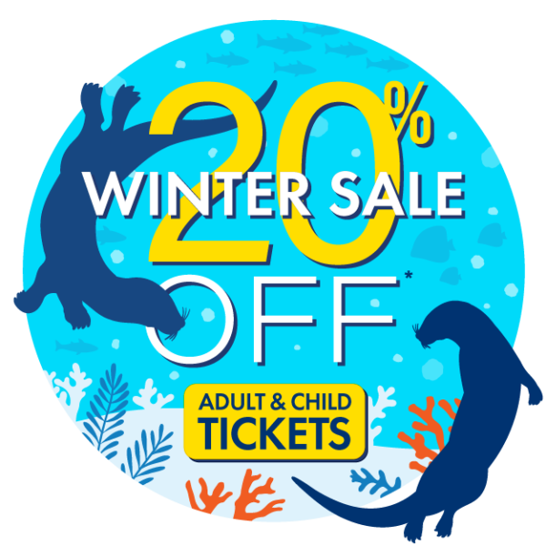 Winter Sale: 20% Aquarium of the Bay Adult and Child Tickets