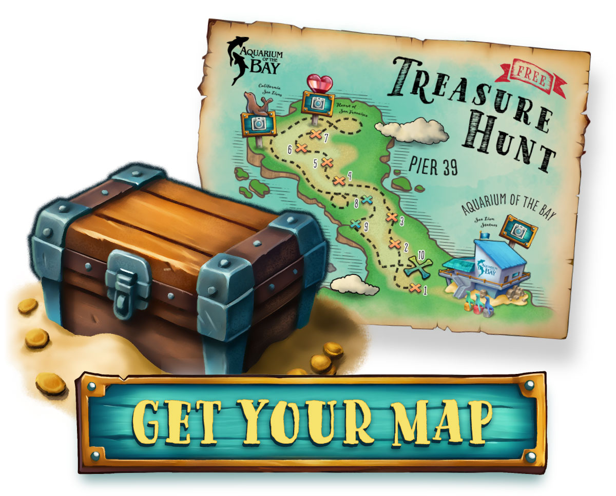 Get Your Treasure Map, Download Now