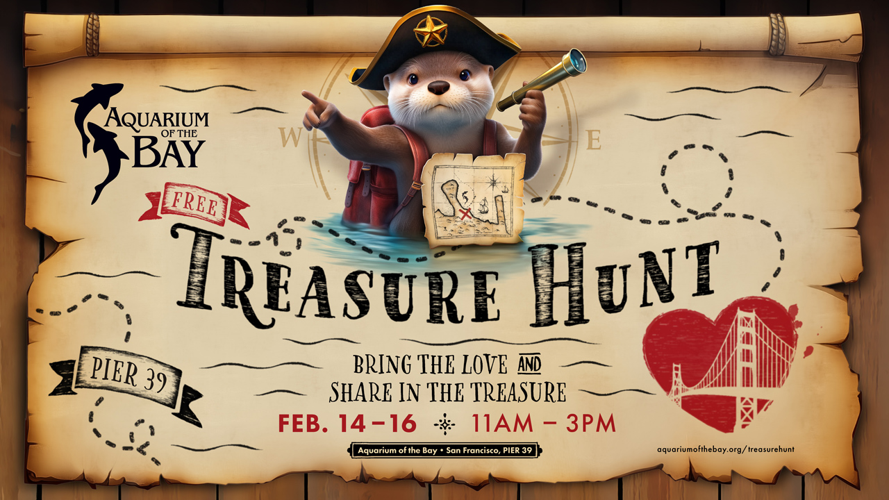 Treasure Hunt