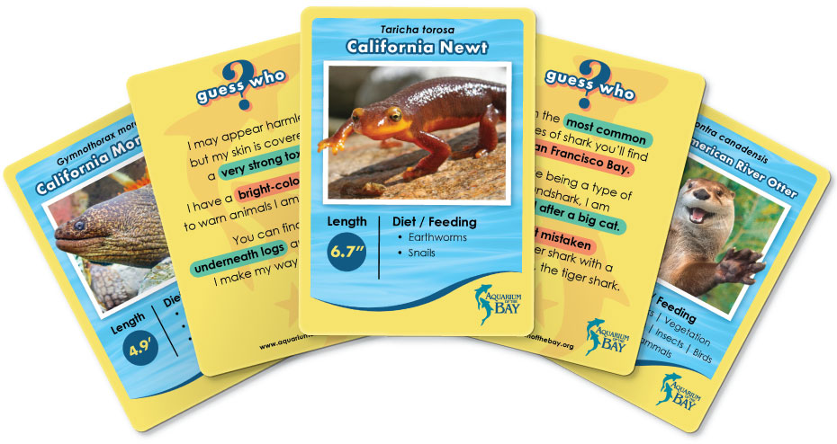 Aquarium Trading Cards Preview